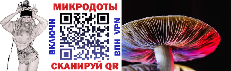 Псилоцибиновые грибы прущие грибы  Видное 