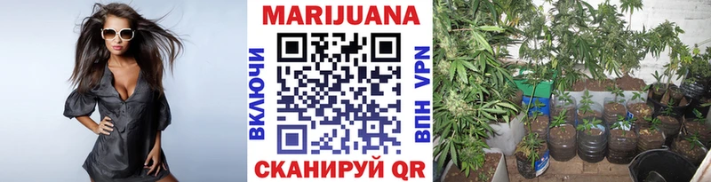 Каннабис VHQ  Видное 